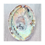 Load image into Gallery viewer, Abalone Shell